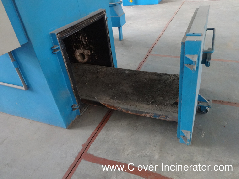 Global Perspectives on Large Animal Incineration: Adoption and Regulations Worldwide