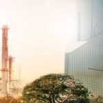 Operator Training Programs for Large Animal Incinerators: Skill Development and Safety
