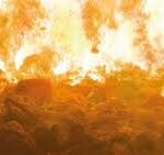 Toxic ash: The dark side of animal waste incineration