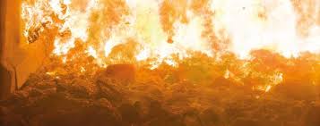 Toxic ash: The dark side of animal waste incineration