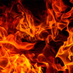 Developing a Comprehensive Animal Carcass Disposal Strategy: Incineration and Beyond