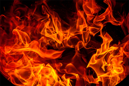 Developing a Comprehensive Animal Carcass Disposal Strategy: Incineration and Beyond