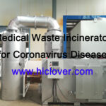 When is Incineration the Best Choice? Decision-Making for Animal Carcass Disposal