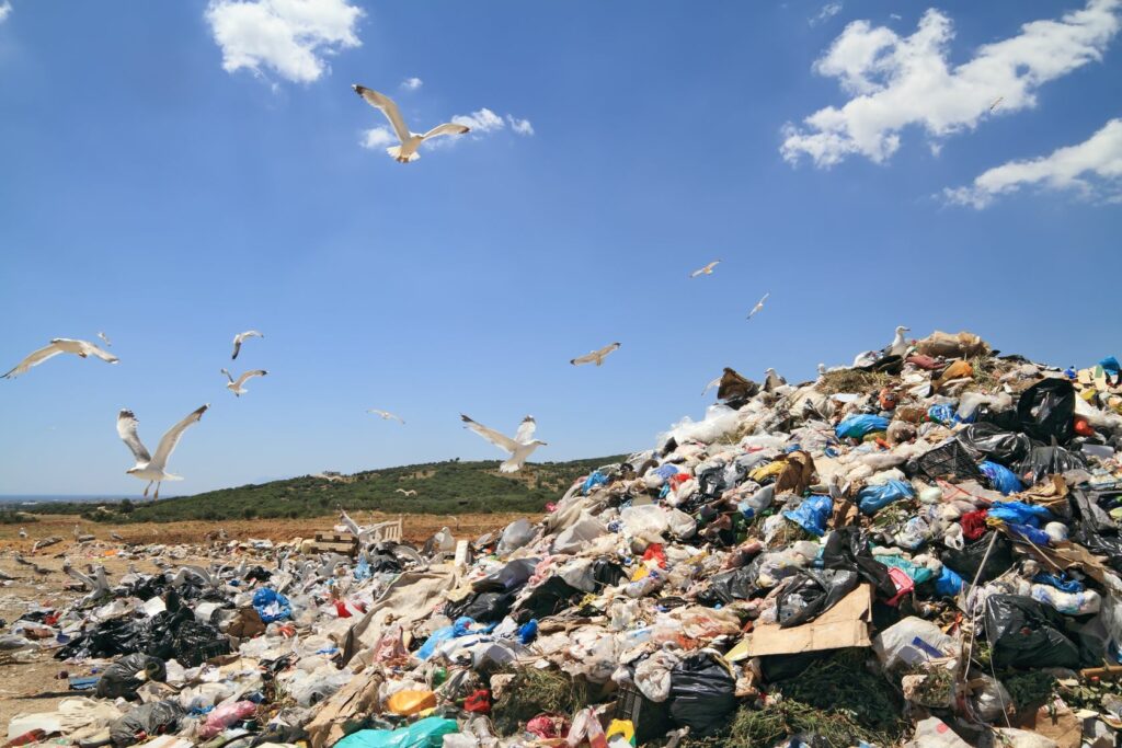 piggery waste management