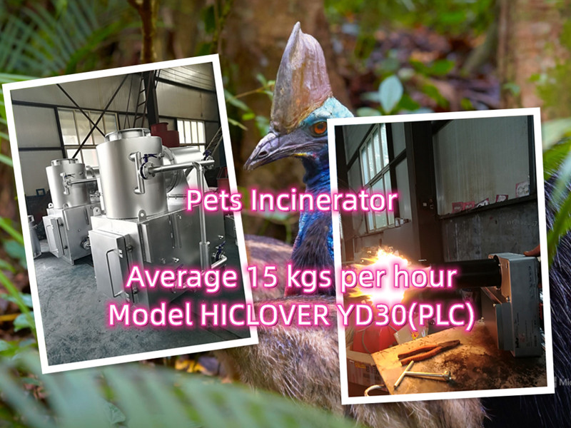 Small Ruminant Incineration: Solutions for Sheep and Goat Farms