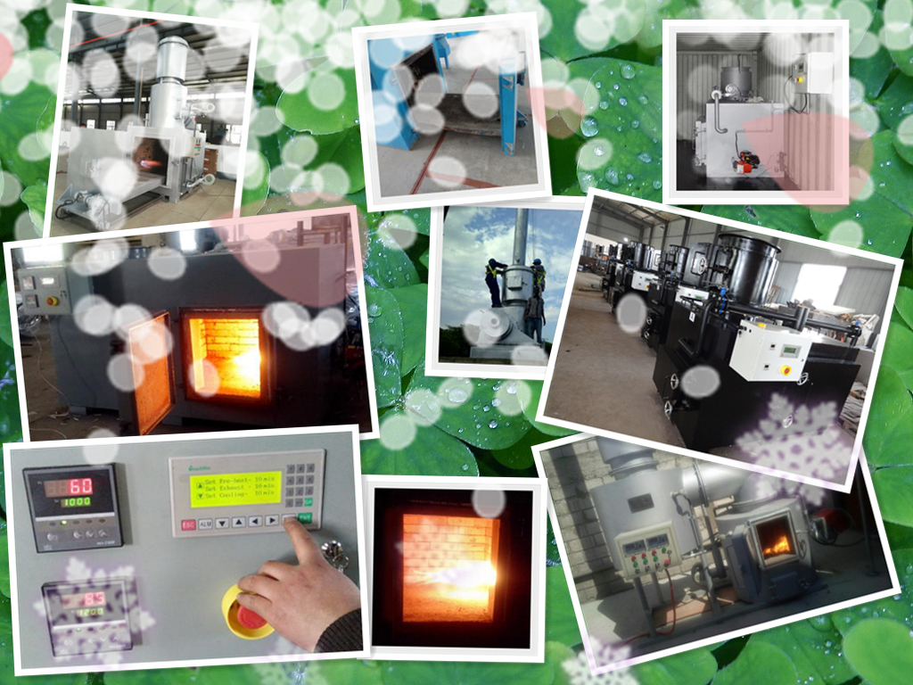 Integrating Incineration with Other Waste Management Practices on Farms