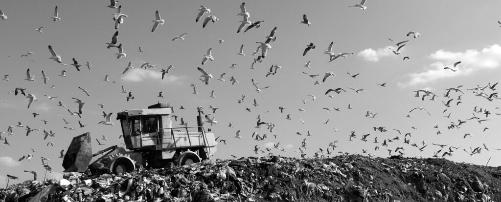 alternatives to animal incinerator